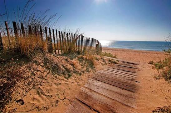 Plages naturelle des Orpellières