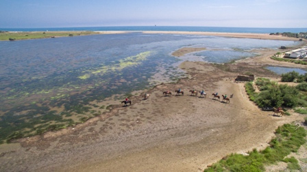 Ranch Le Petit Sam – Balade à cheval